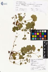 SW_BNB_s3070-00838_IMG-0000000001