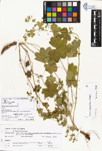 SW_BNB_s3070-00839_IMG-0000000001