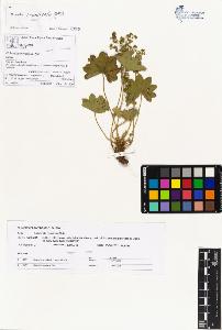 SW_BNB_s3070-00840_IMG-0000000001