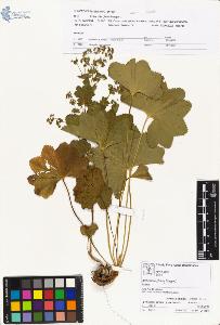 SW_BNB_s3070-00841_IMG-0000000001