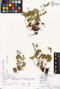 SW_BNB_s3070-00848_IMG-0000000001