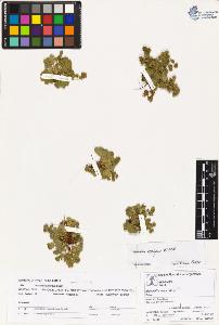 SW_BNB_s3070-00850_IMG-0000000001