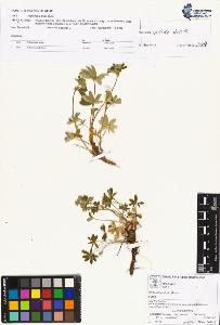 SW_BNB_s3070-00851_IMG-0000000001