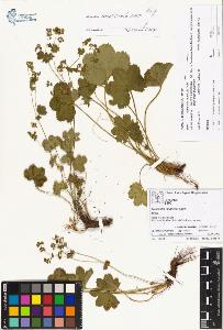 SW_BNB_s3070-00854_IMG-0000000001