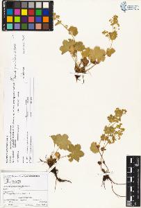 SW_BNB_s3070-00856_IMG-0000000001