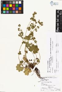 SW_BNB_s3070-00859_IMG-0000000001