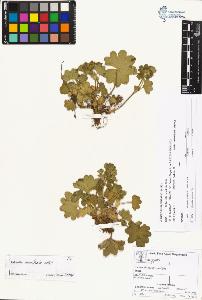 SW_BNB_s3070-00861_IMG-0000000001