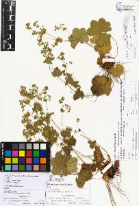 SW_BNB_s3070-00863_IMG-0000000001