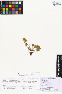 SW_BNB_s3070-00864_IMG-0000000001