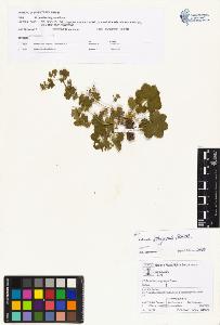 SW_BNB_s3070-00866_IMG-0000000001