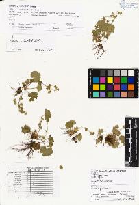 SW_BNB_s3070-00867_IMG-0000000001