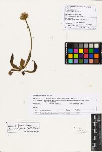 SW_BNB_s3070-00868_IMG-0000000001