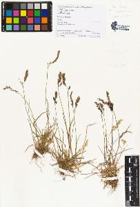 SW_BNB_s3070-00870_IMG-0000000001