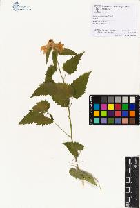 SW_BNB_s3070-00876_IMG-0000000001