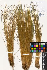SW_BNB_s3070-00877_IMG-0000000001