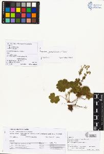 SW_BNB_s3070-00881_IMG-0000000001
