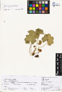 SW_BNB_s3070-00882_IMG-0000000001