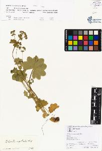 SW_BNB_s3070-00888_IMG-0000000001