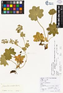 SW_BNB_s3070-00890_IMG-0000000001