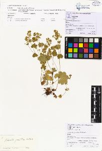 SW_BNB_s3070-00891_IMG-0000000001