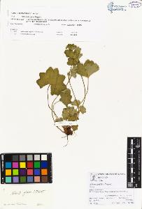 SW_BNB_s3070-00892_IMG-0000000001
