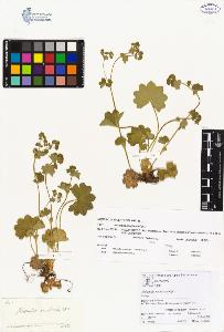 SW_BNB_s3070-00893_IMG-0000000001