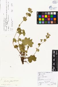SW_BNB_s3070-00894_IMG-0000000001