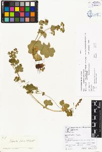 SW_BNB_s3070-00897_IMG-0000000001