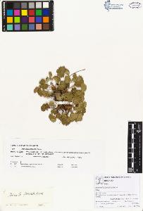 SW_BNB_s3070-00900_IMG-0000000001