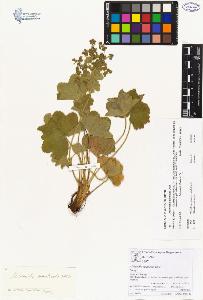 SW_BNB_s3070-00901_IMG-0000000001