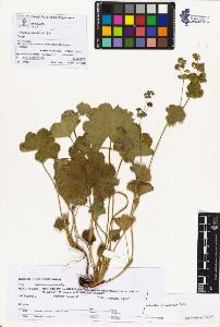 SW_BNB_s3070-00903_IMG-0000000001