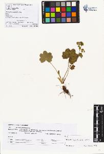 SW_BNB_s3070-00904_IMG-0000000001