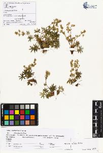SW_BNB_s3070-00909_IMG-0000000001