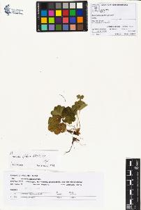 SW_BNB_s3070-00910_IMG-0000000001