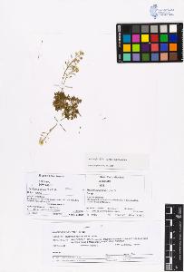 SW_BNB_s3070-00914_IMG-0000000001