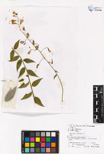 SW_BNB_s3070-00919_IMG-0000000001