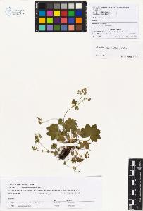 SW_BNB_s3070-00922_IMG-0000000001