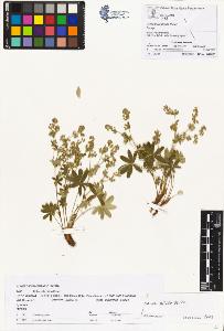 SW_BNB_s3070-00923_IMG-0000000001