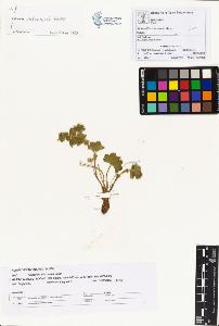 SW_BNB_s3070-00925_IMG-0000000001