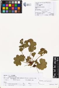 SW_BNB_s3070-00926_IMG-0000000001