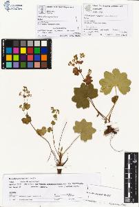 SW_BNB_s3070-00927_IMG-0000000001