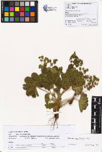SW_BNB_s3070-00928_IMG-0000000001