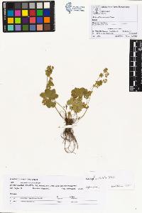 SW_BNB_s3070-00930_IMG-0000000001