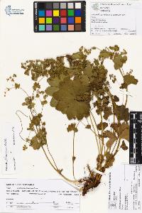 SW_BNB_s3070-00931_IMG-0000000001