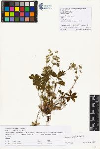 SW_BNB_s3070-00938_IMG-0000000001