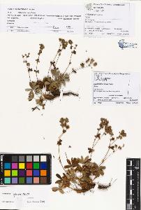SW_BNB_s3070-00940_IMG-0000000001