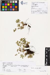SW_BNB_s3070-00941_IMG-0000000001
