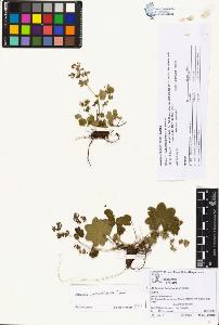 SW_BNB_s3070-00942_IMG-0000000001