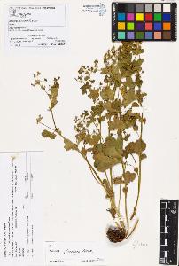 SW_BNB_s3070-00943_IMG-0000000001