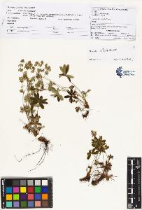 SW_BNB_s3070-00944_IMG-0000000001